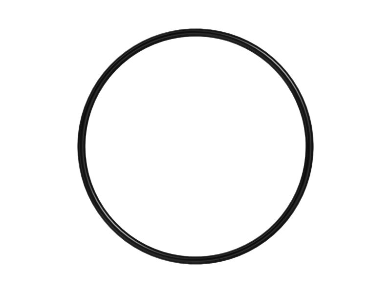 Уплотнительное кольцо с внутренним диаметром 101,19 мм