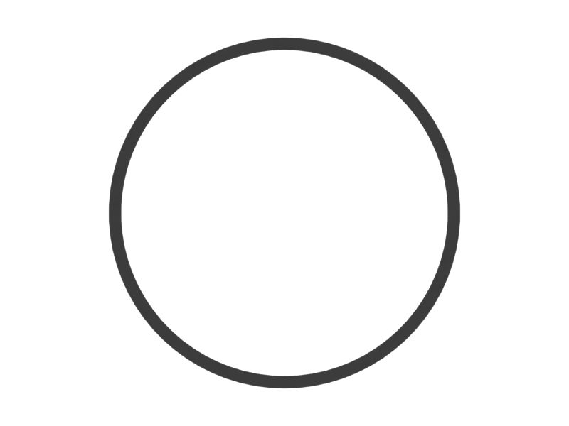 Опорное кольцо, внутренний диаметр 79,53 мм