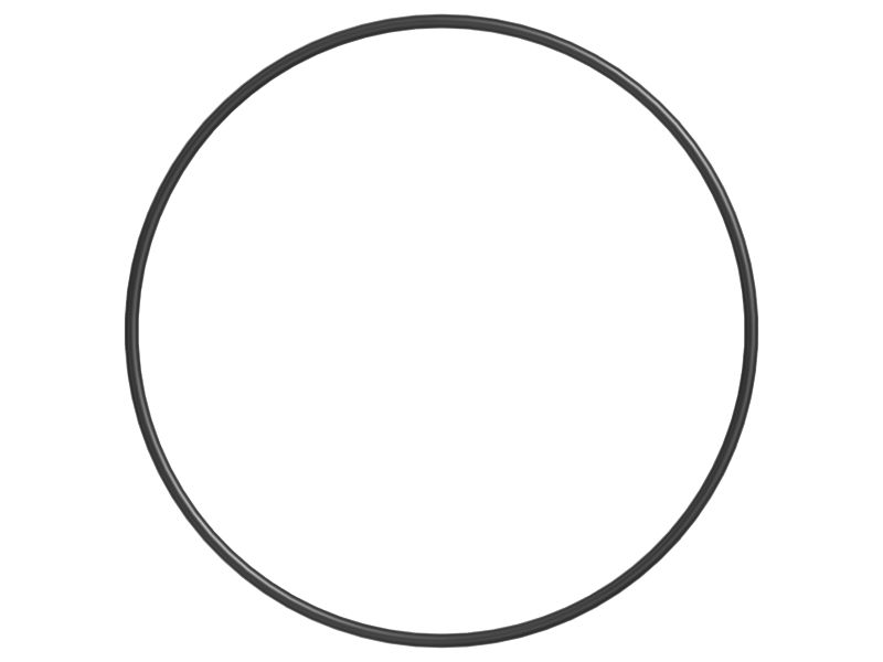 Уплотнительное кольцо внутреннего диаметра 313 мм