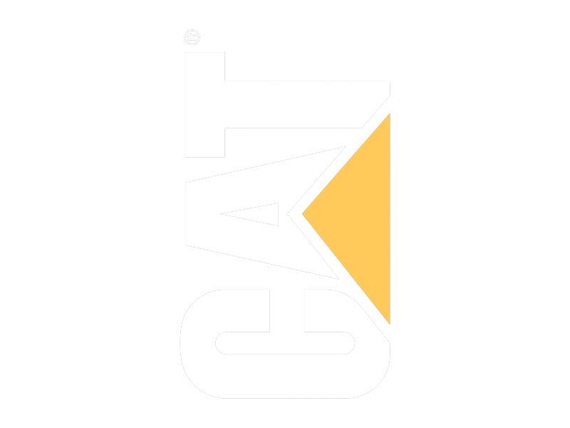 Наклейка CAT