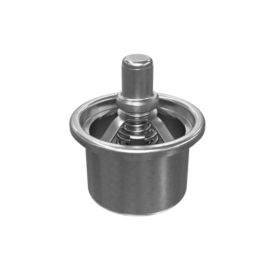 248-5513: Engine Water Temperature Regulator