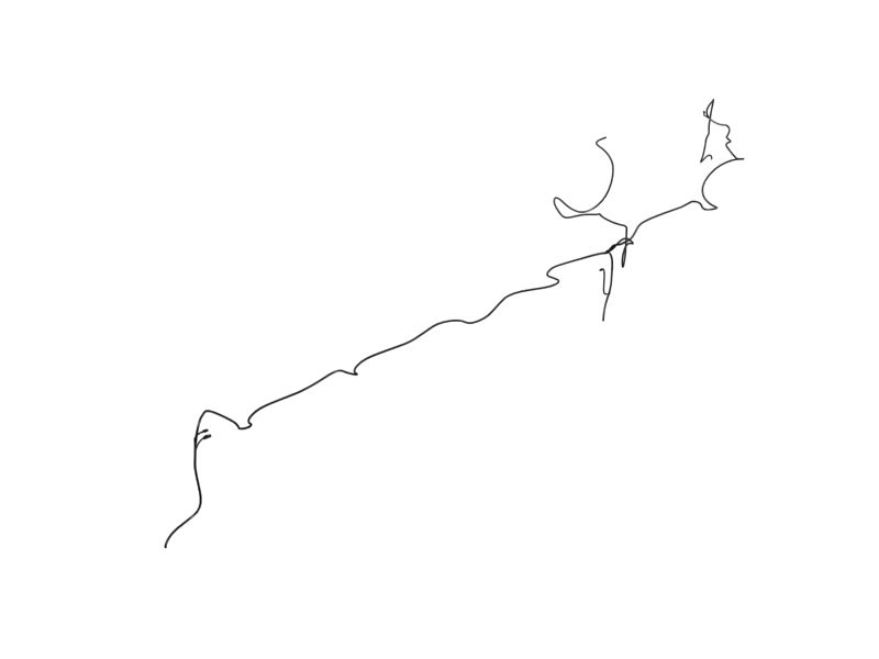 464-6449: Жгут проводов в сборе