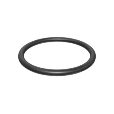 CAT TERMOSTAT MUHAFAZASI O RİNG