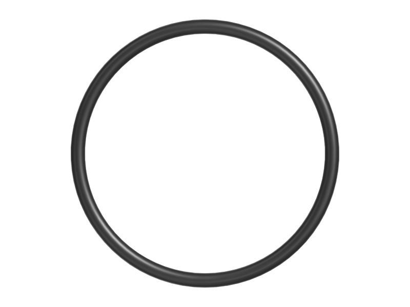 Уплотнительное кольцо магистрали впрыска топлива