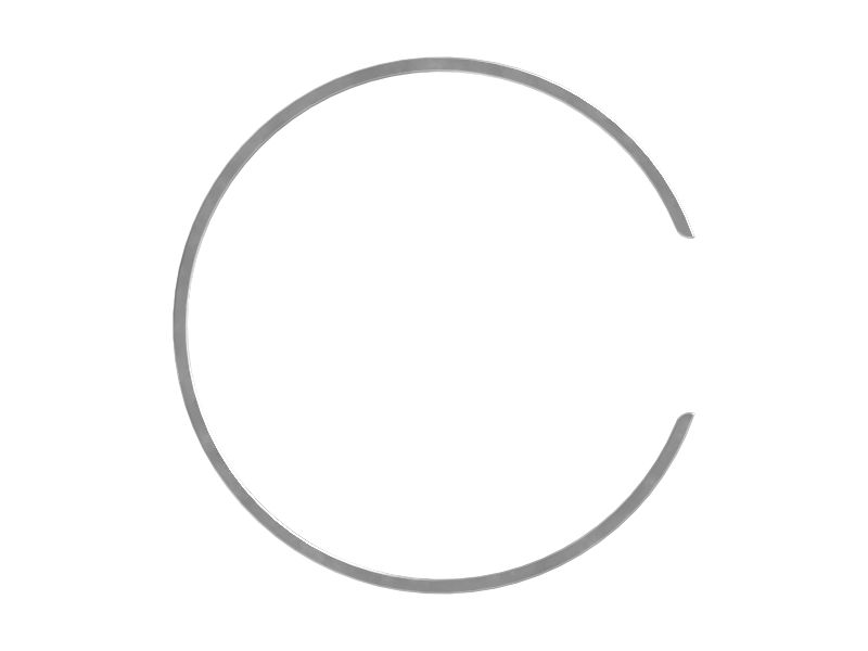 5P-7314: RING-DISTORTER | CATCorp