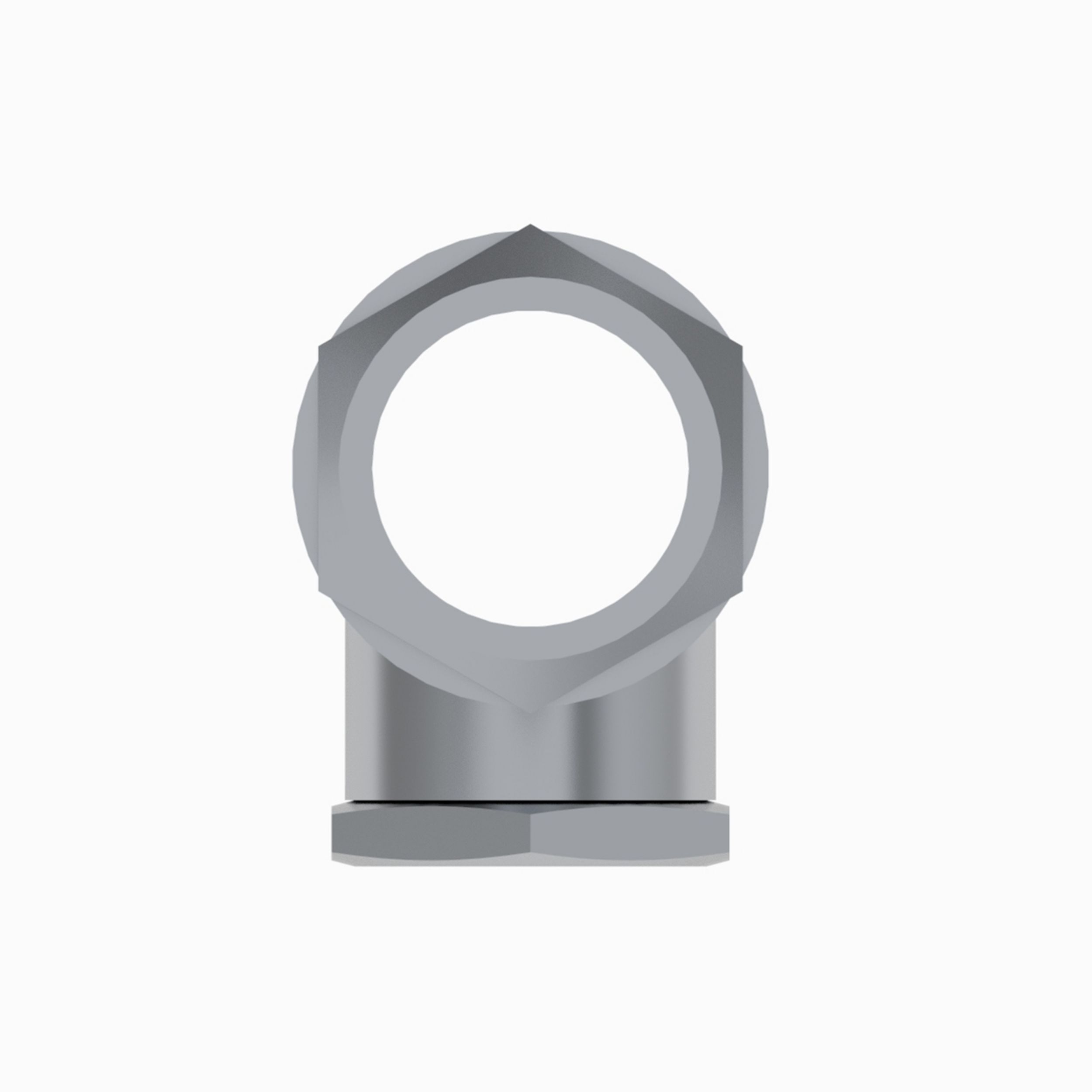 Check Valve