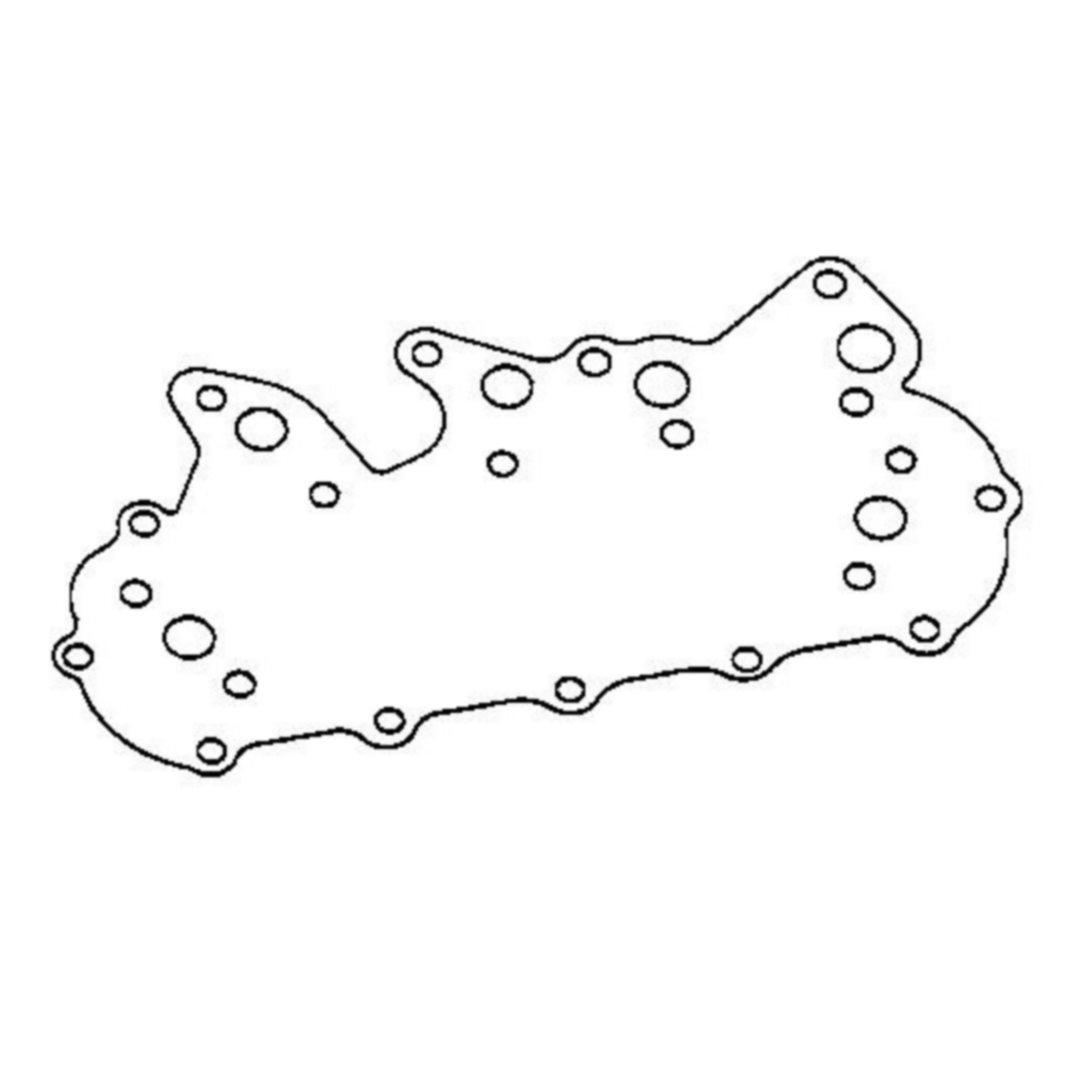 Gasket