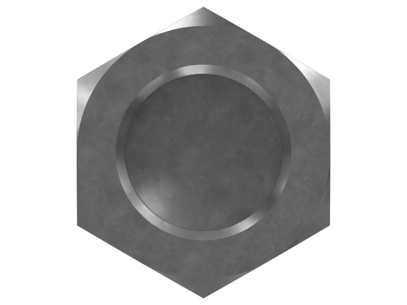 65mm Check Valve