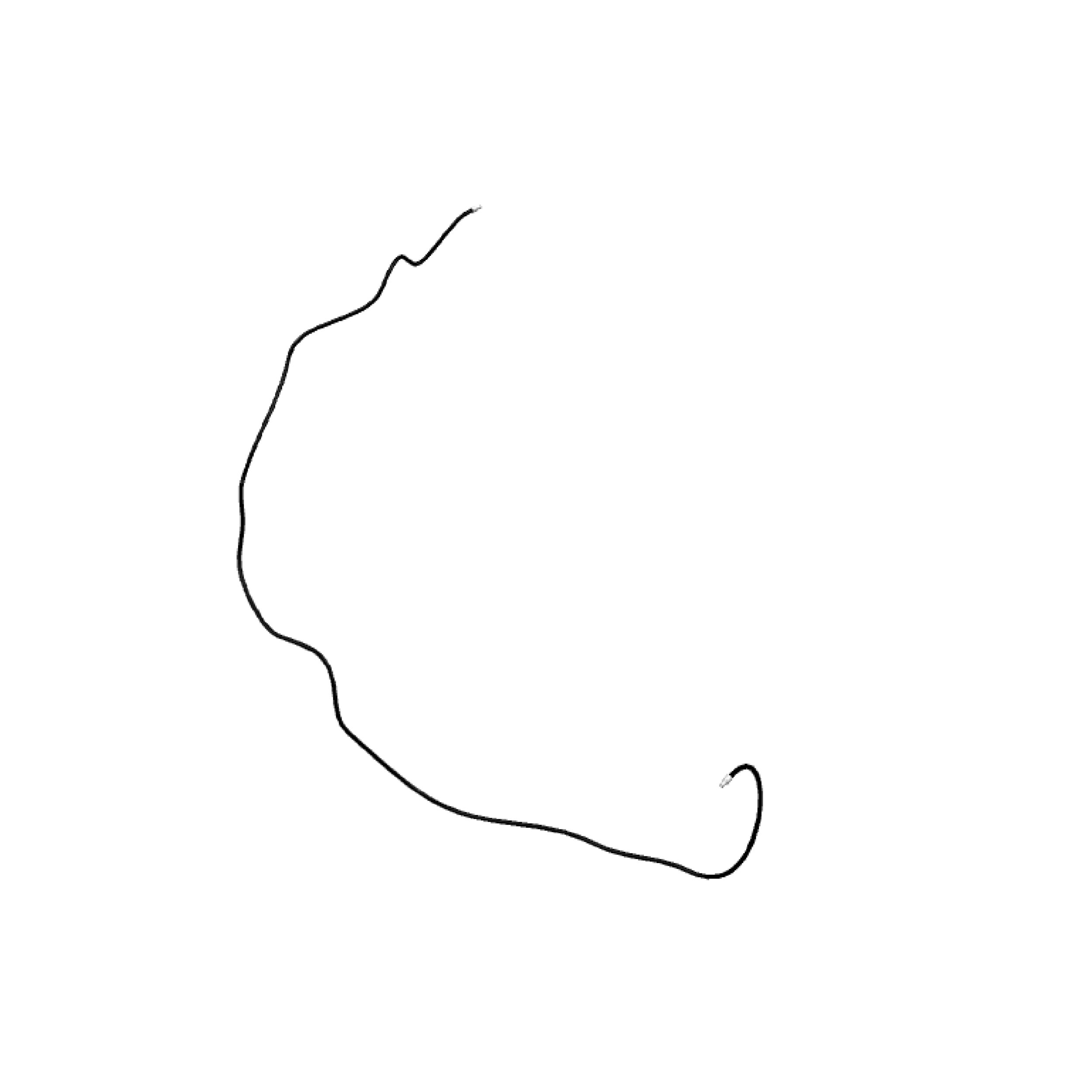 ШЛАНГ В СБОРЕ