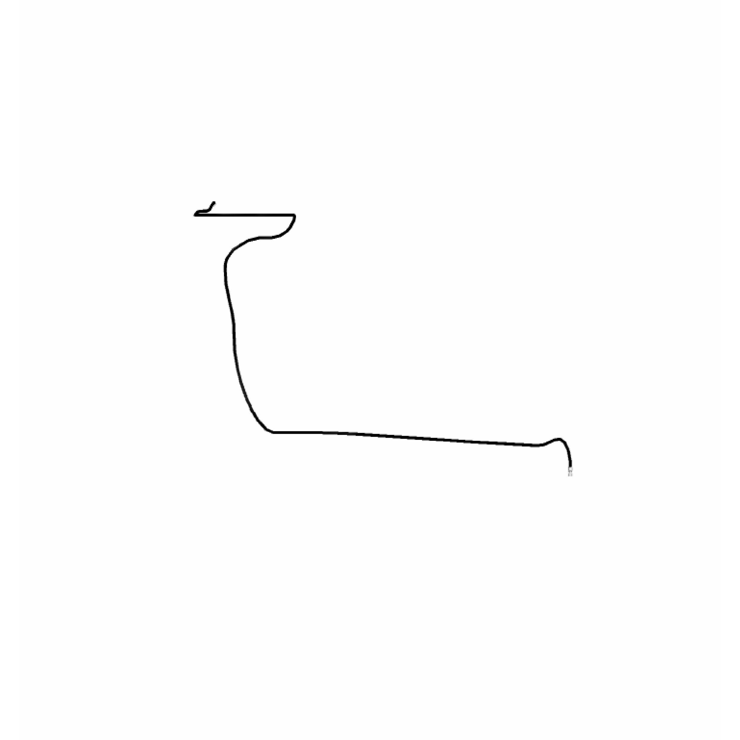 Шланг в сборе