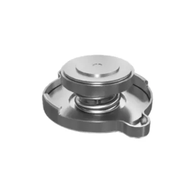 310-2522: 79mm Long Radiator Cap
