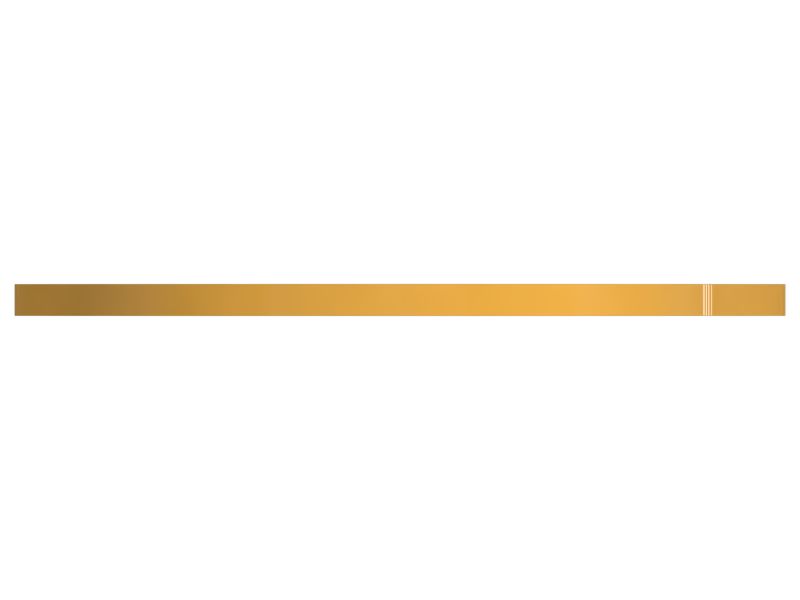 Опорная плита тормоза