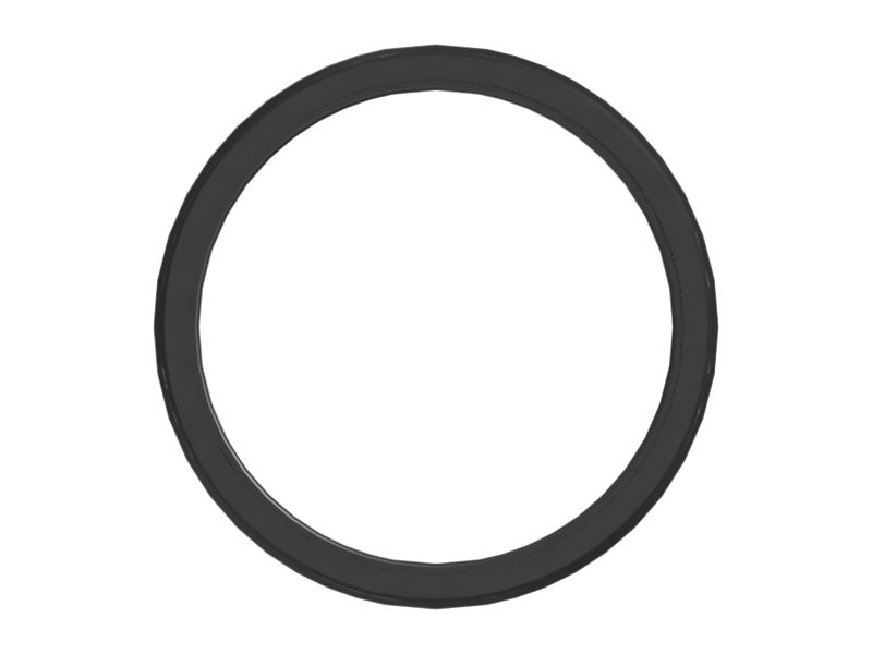Piston Seal