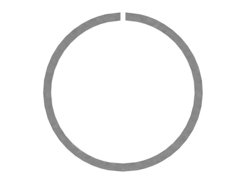 Wear Ring