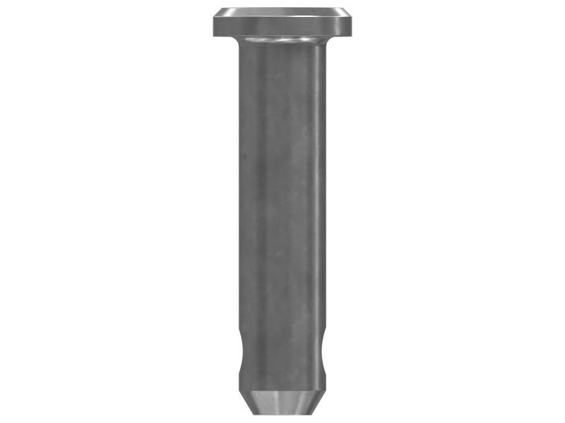 Pin