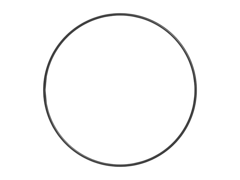 ТОРОИДАЛЬНОЕ КОЛЬЦО