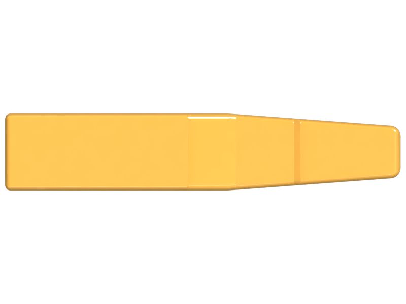 Teeth