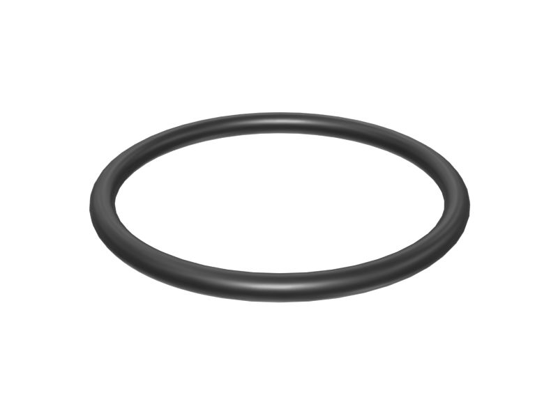 195-9771: O-RINGSTETNING