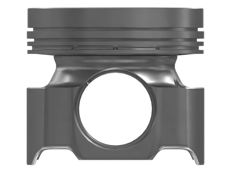 ПОРШЕНЬ В СБОРЕ