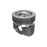 481-5617