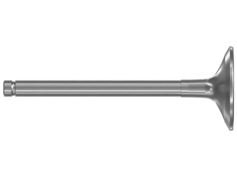 Inlet Valve