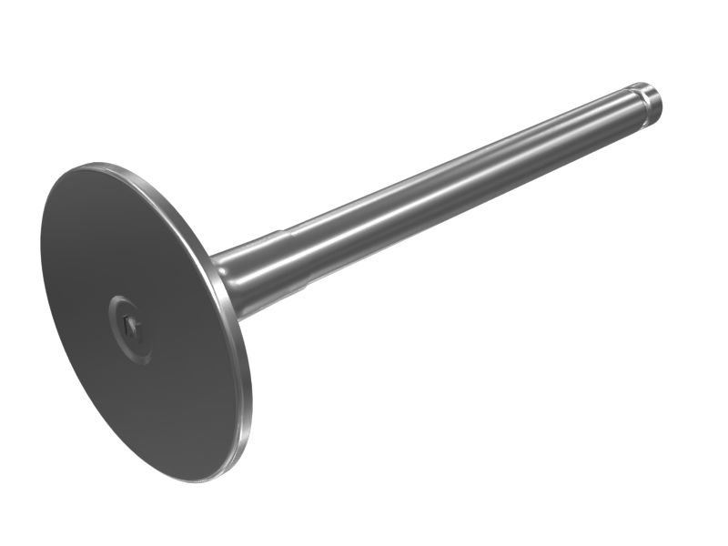 Inlet Valve