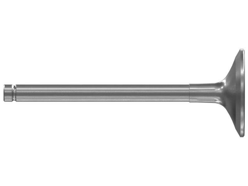 Inlet Valve