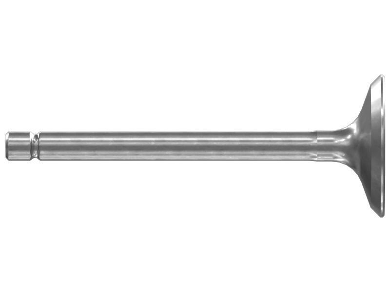 Cylinder Head Inlet Valve