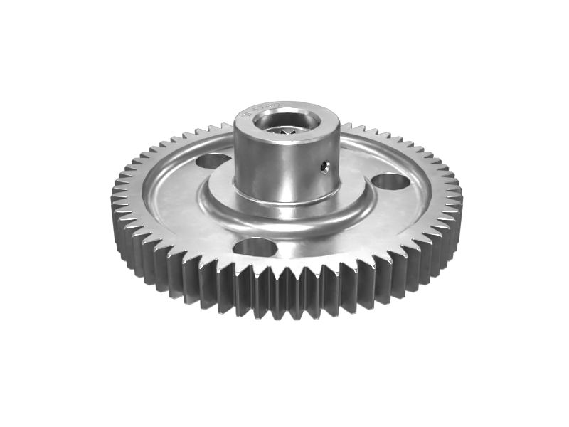 ШЕСТЕРНЯ В СБОРЕ