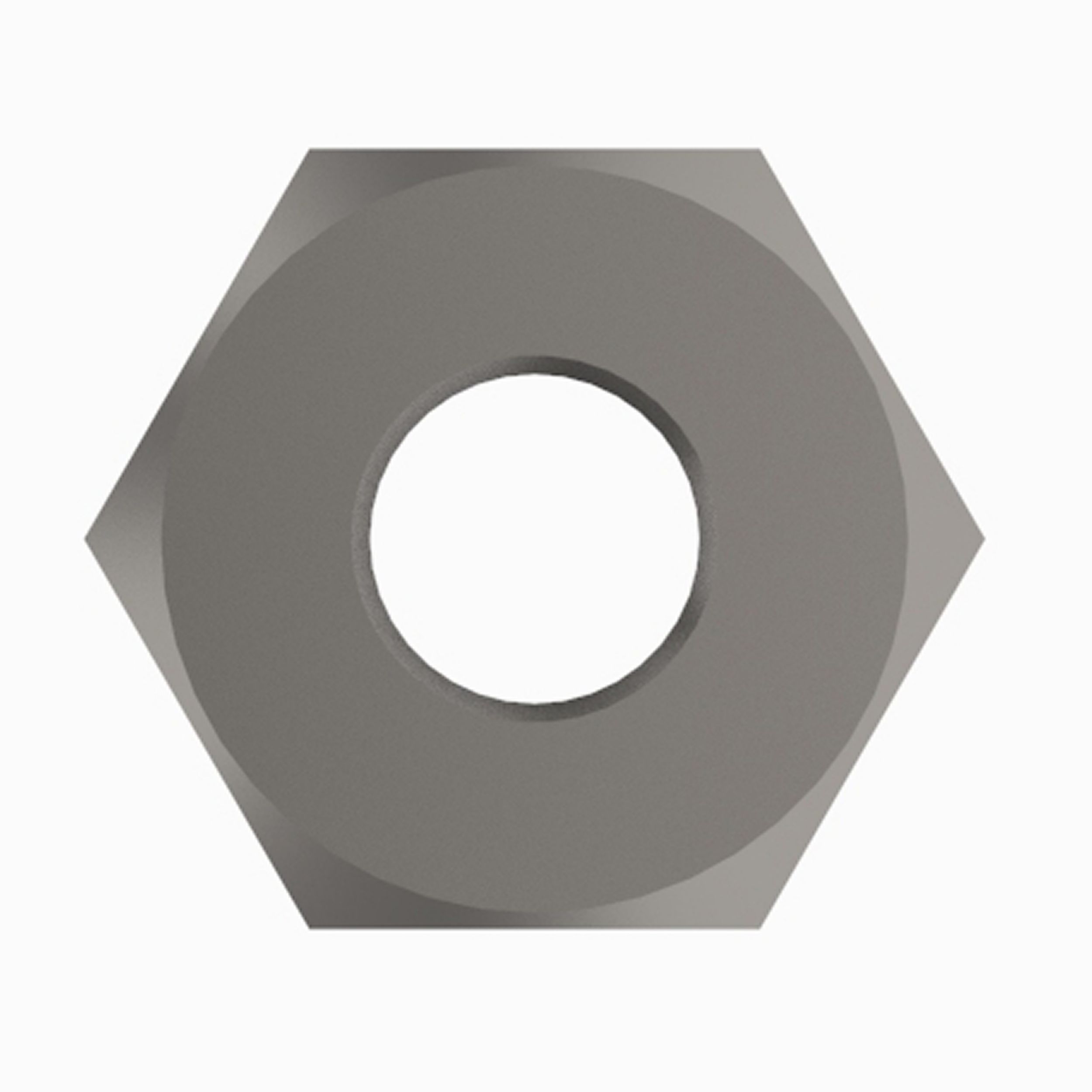 Hex Nut