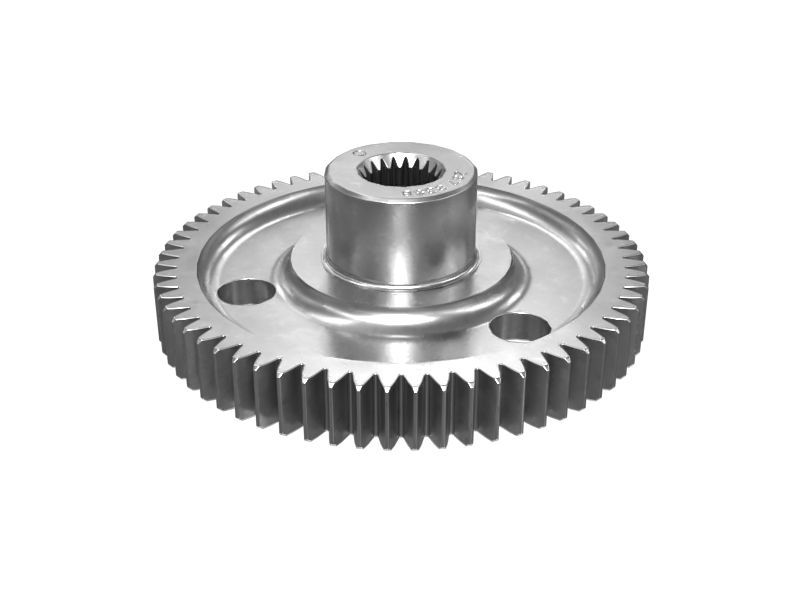 ШЕСТЕРНЯ В СБОРЕ