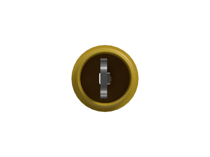 ПЛУНЖЕР В СБОРЕ