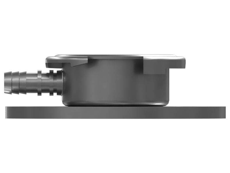 ГОРЛОВИНА В СБОРЕ