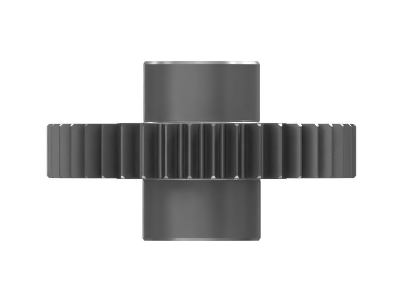 ШЕСТЕРНЯ В СБОРЕ