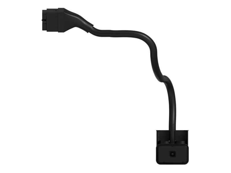Engine Harness