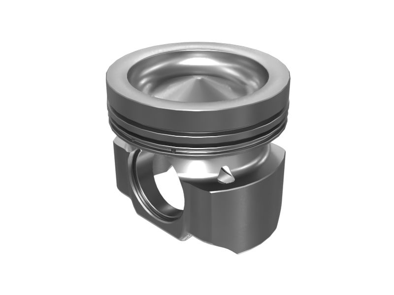 ПОРШЕНЬ В СБОРЕ