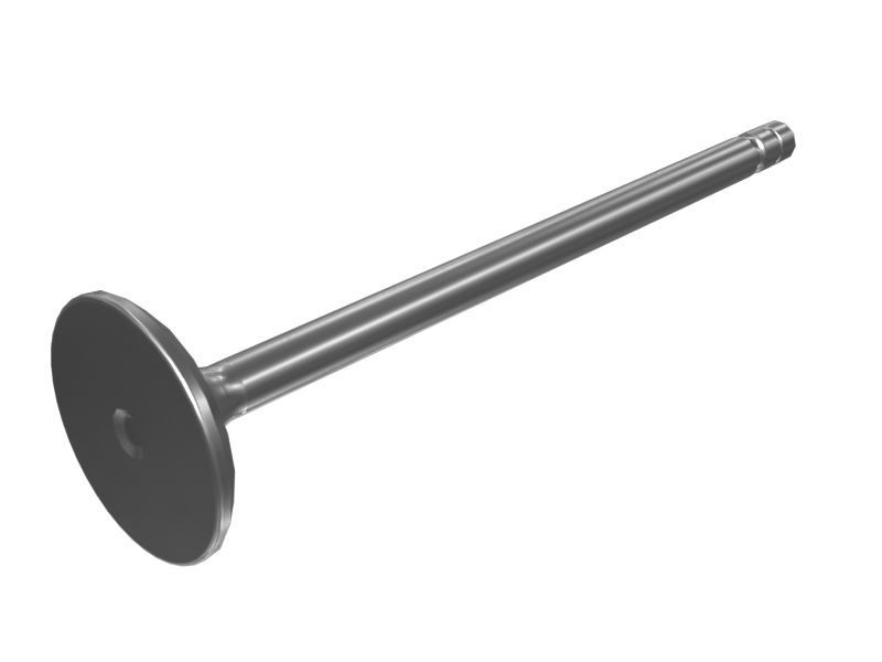 ВЫПУСКНОЙ КЛАПАН