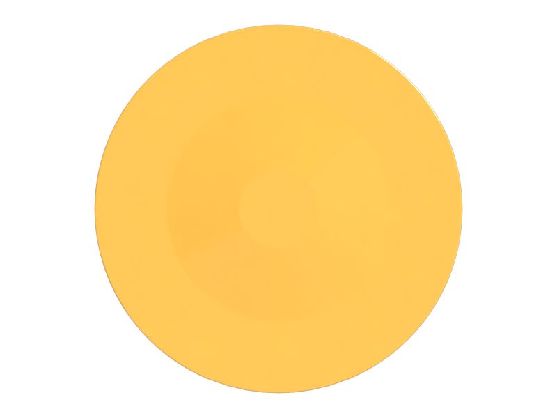 ПЛАСТИНА БАШМАКА