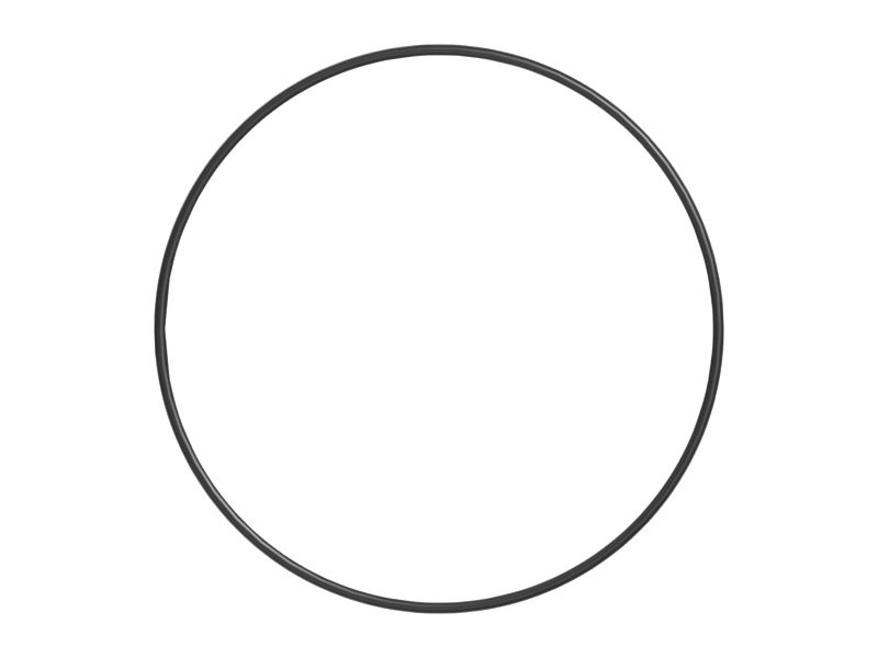 ТОРОИДАЛЬНОЕ КОЛЬЦО