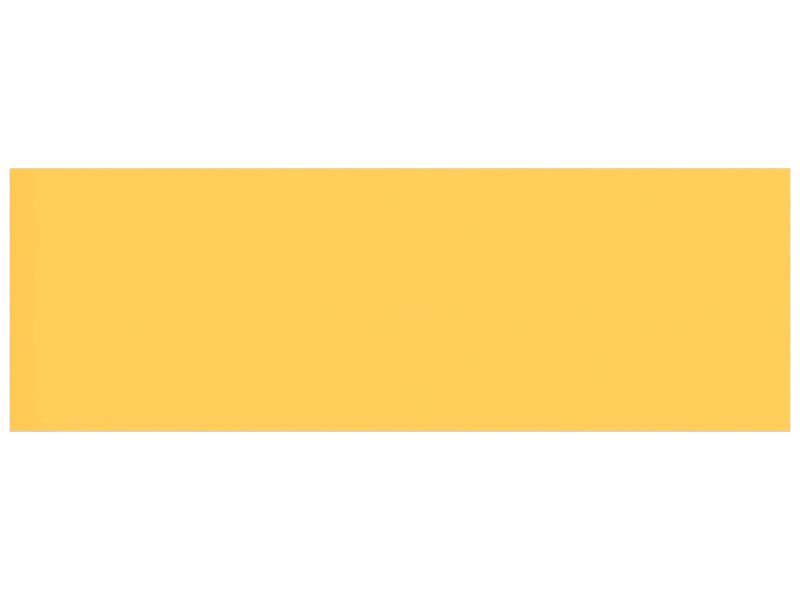 ПЛАСТИНА В СБОРЕ, ЛЕВАЯ