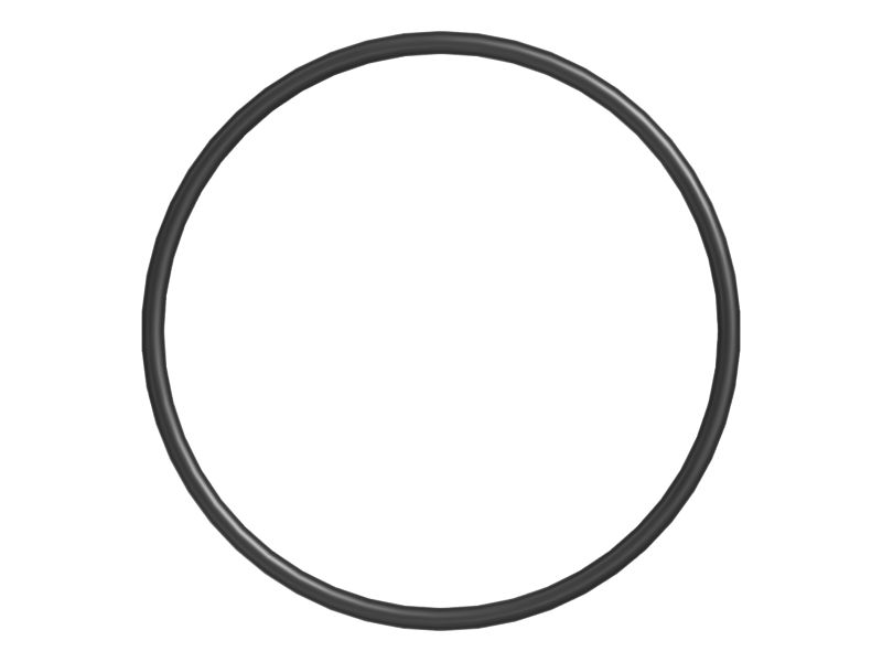 123.19mm Inside Diameter O-Ring Seal