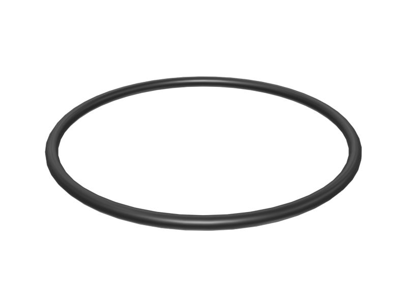 123.19mm Inside Diameter O-Ring Seal