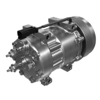 598-0817: 24 Volt Compressor