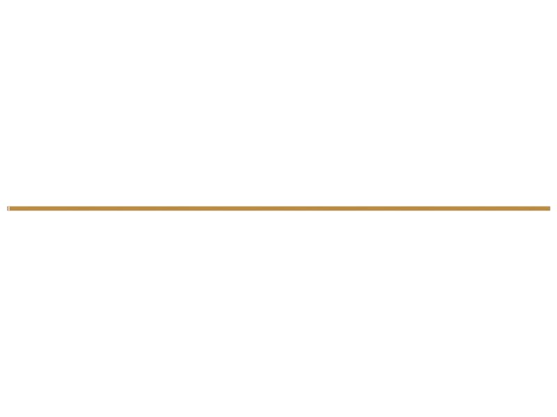 ПЛАСТИНА ИЗНОСНАЯ