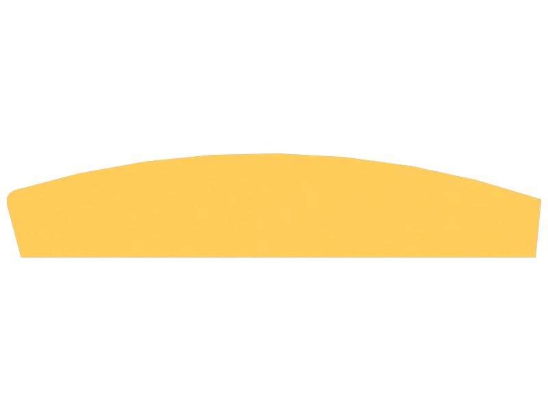 ПЛАСТИНА БОКОВИНЫ