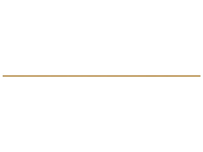 ПЛАСТИНА ИЗНОСНАЯ