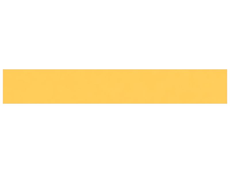 ПЛАСТИНА ИЗНОСНАЯ