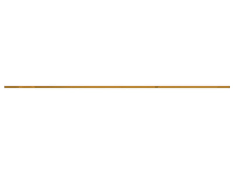 ПЛАСТИНА ИЗНОСНАЯ