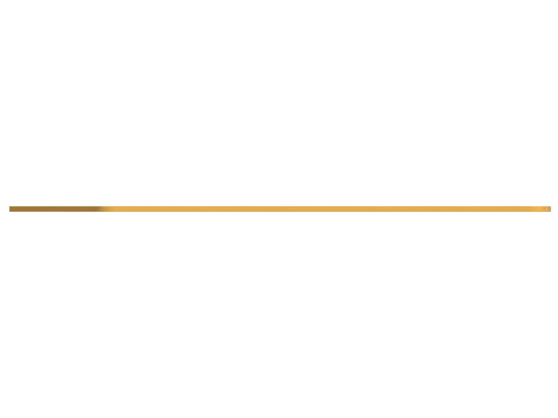 ИЗНОСНАЯ ПЛАСТИНА