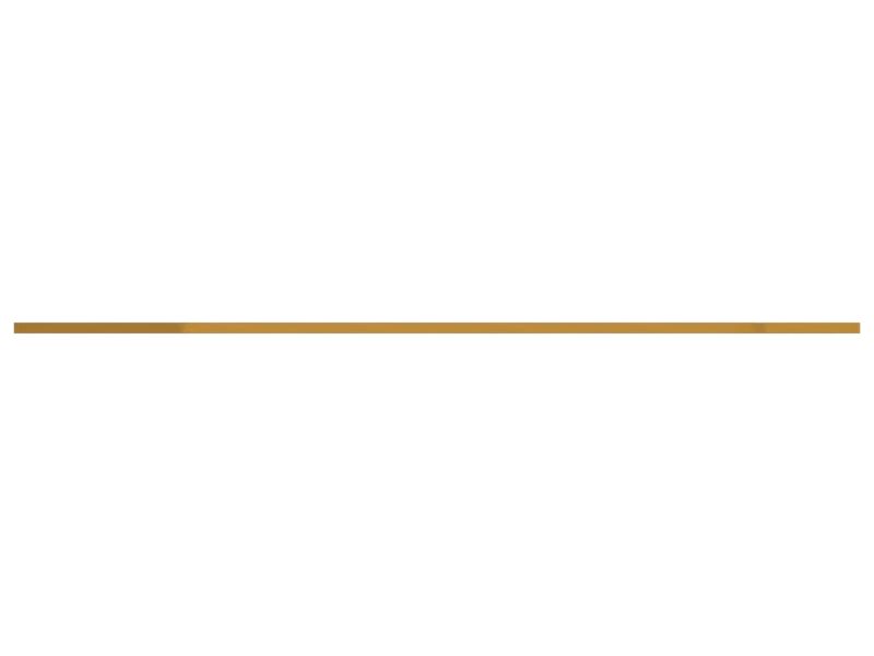 ПЛАСТИНА ИЗНОСНАЯ